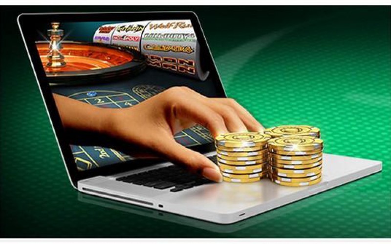 Betn1 Your Ultimate Destination for Online Betting