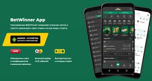 Experience the Thrill of Betting with BetWinner Betting Platform