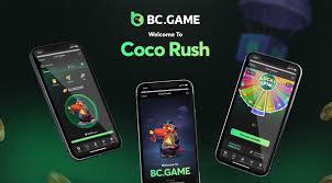 BCStavka Casino Overview A Comprehensive Guide 1695794409