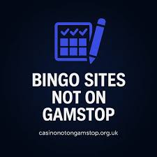 Essential Guide to Non-GamStop Bingo Sites