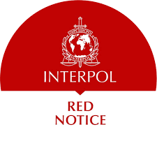 Understanding the Role of Interpol Law Firms in Criminal Defense