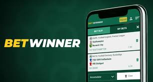 A Comprehensive BetWinner Review Features, Bonuses, and More