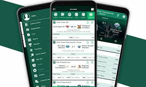A Comprehensive BetWinner Review Features, Bonuses, and More